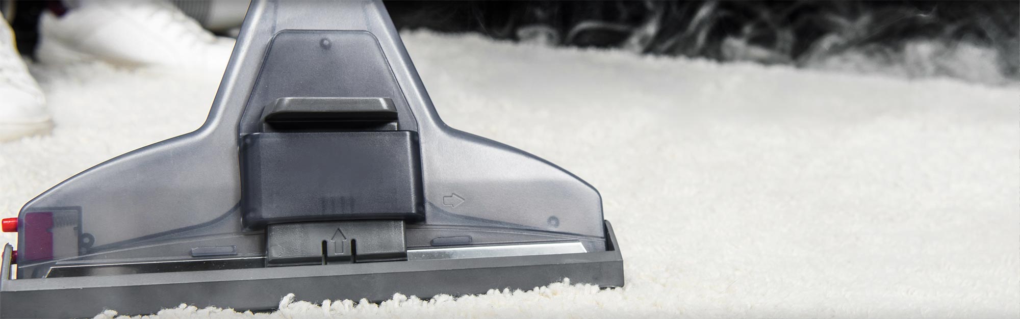Carpet cleaner.